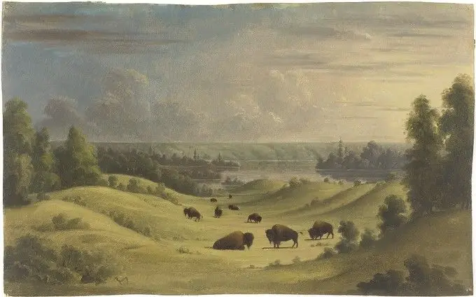 Landscape in The Foothills with Buffalo Resting by Paul Kane