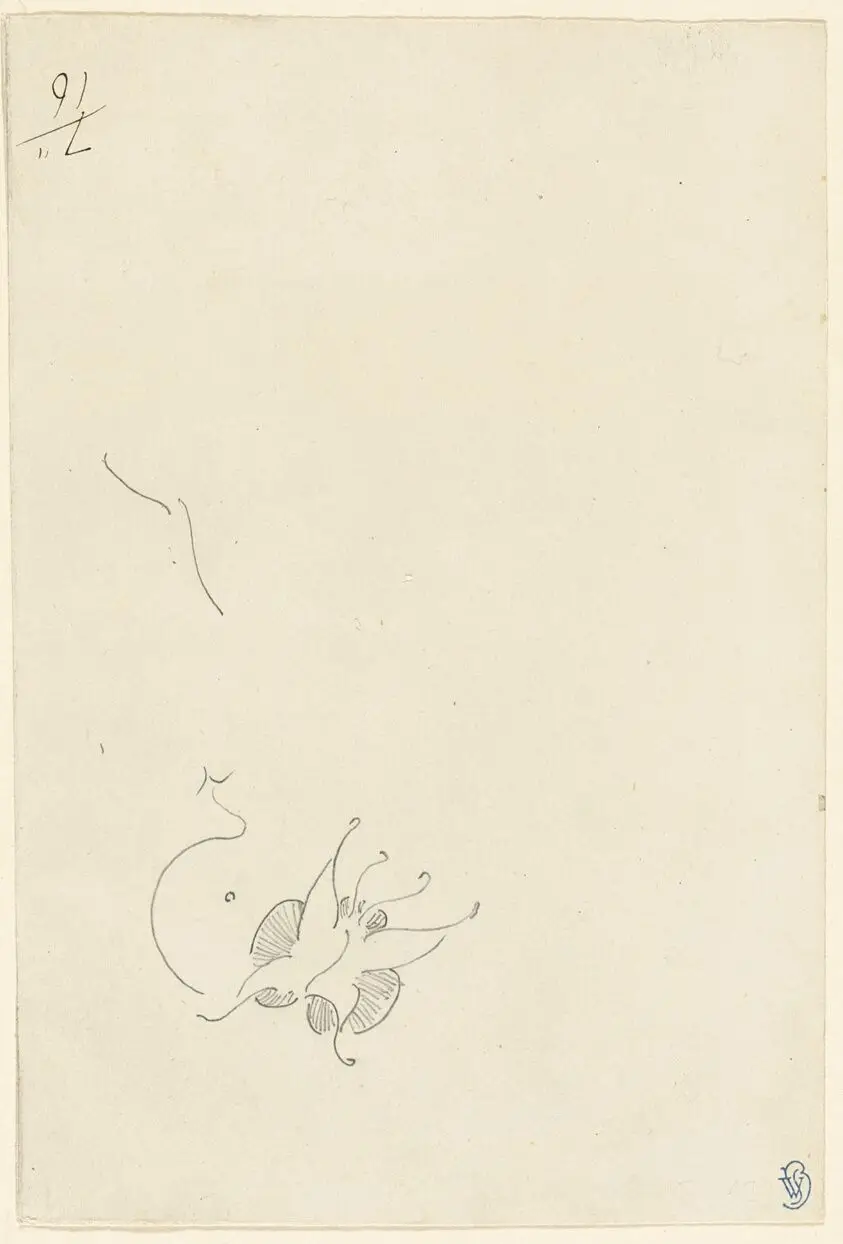 Butterfly by James McNeill Whistler