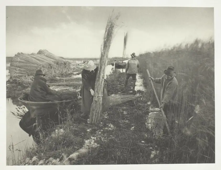 During the Reed Harvest by Peter Henry Emerson
