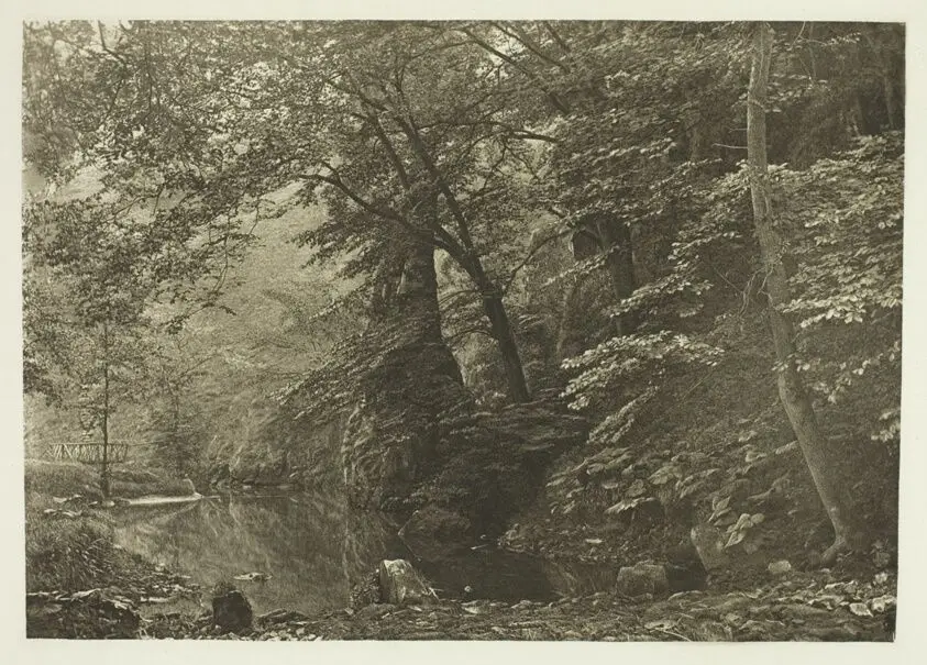 "Pike Pool" (from below) by Peter Henry Emerson