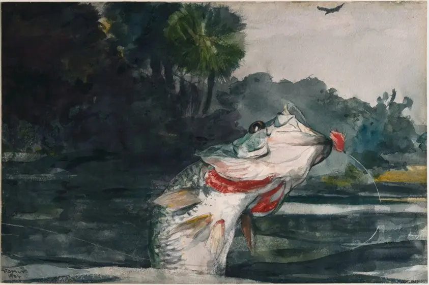 Life-Size Black Bass by Winslow Homer
