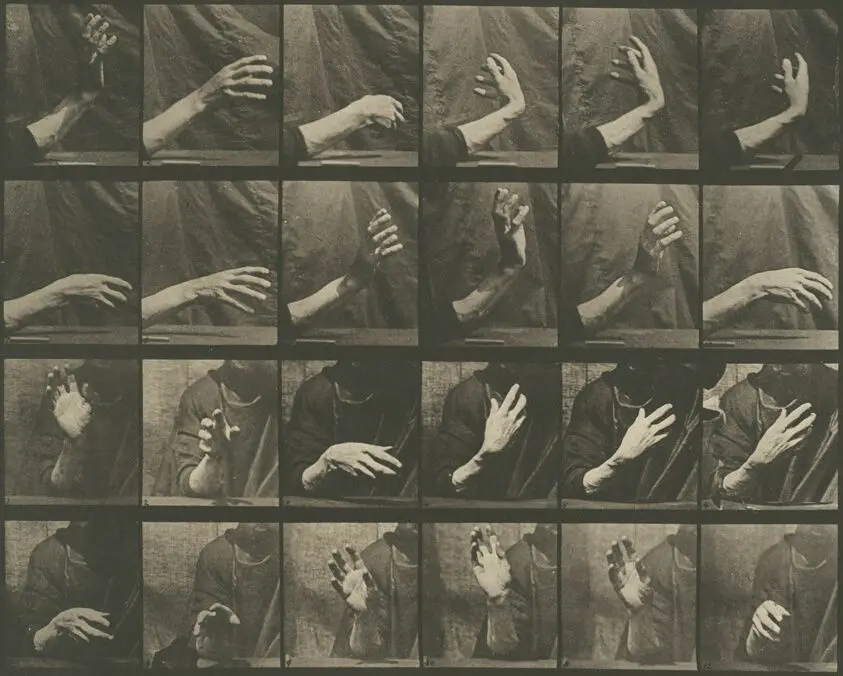 Animal Locomotion, Plate 535 by Eadweard Muybridge