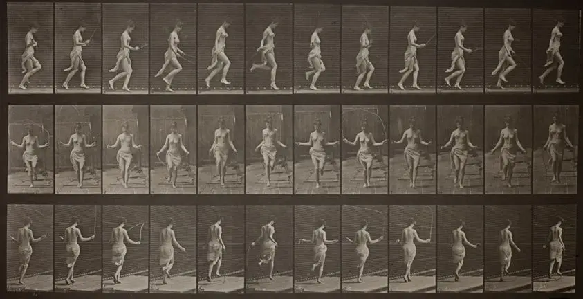 Animal Locomotion, Plate 174 by Eadweard Muybridge