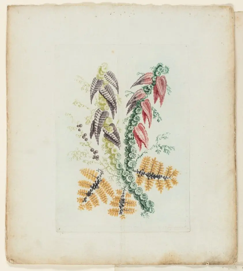 Plate, from New Suite of Notebooks of Ideal Flowers for Use by Draftsmen and Painters by Anne Allen (English, active 1790s)