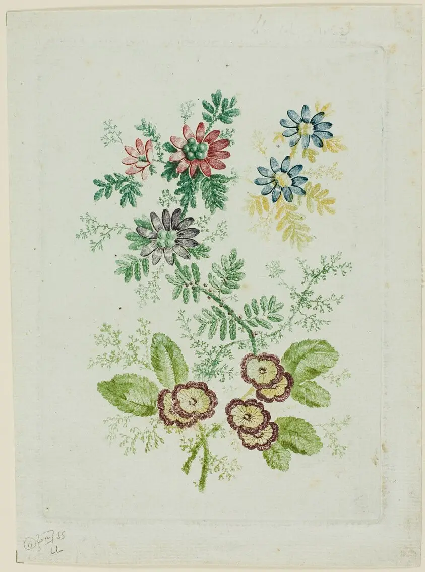 Flowers by Anne Allen (English, born 1750)