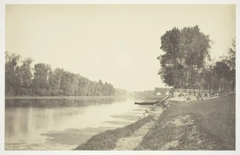 Untitled, from the series "Bois de Bologne" by Charles Marville