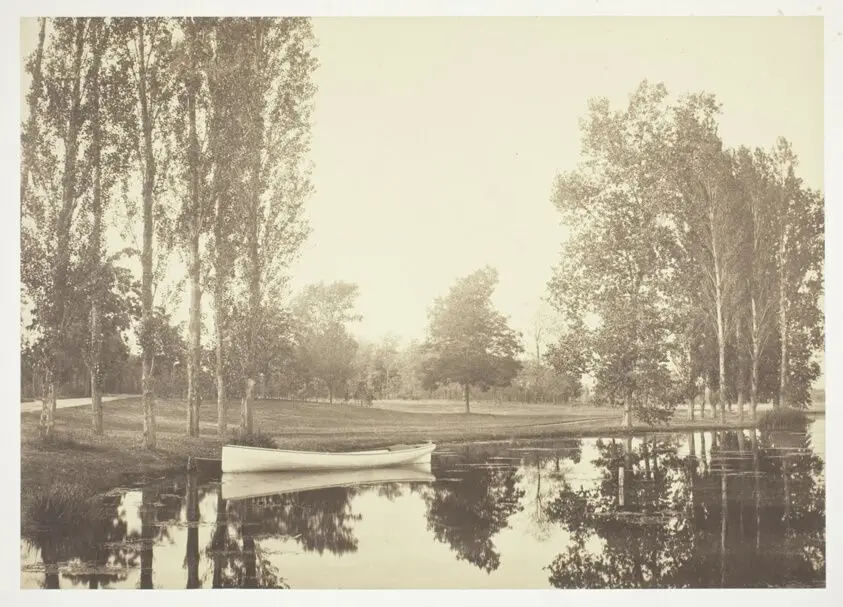Untitled, from the series "Bois de Boulogne" by Charles Marville