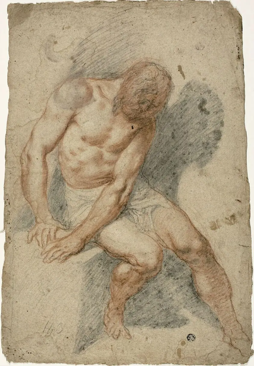 Study of a Seated Male Nude by Federico Barocci