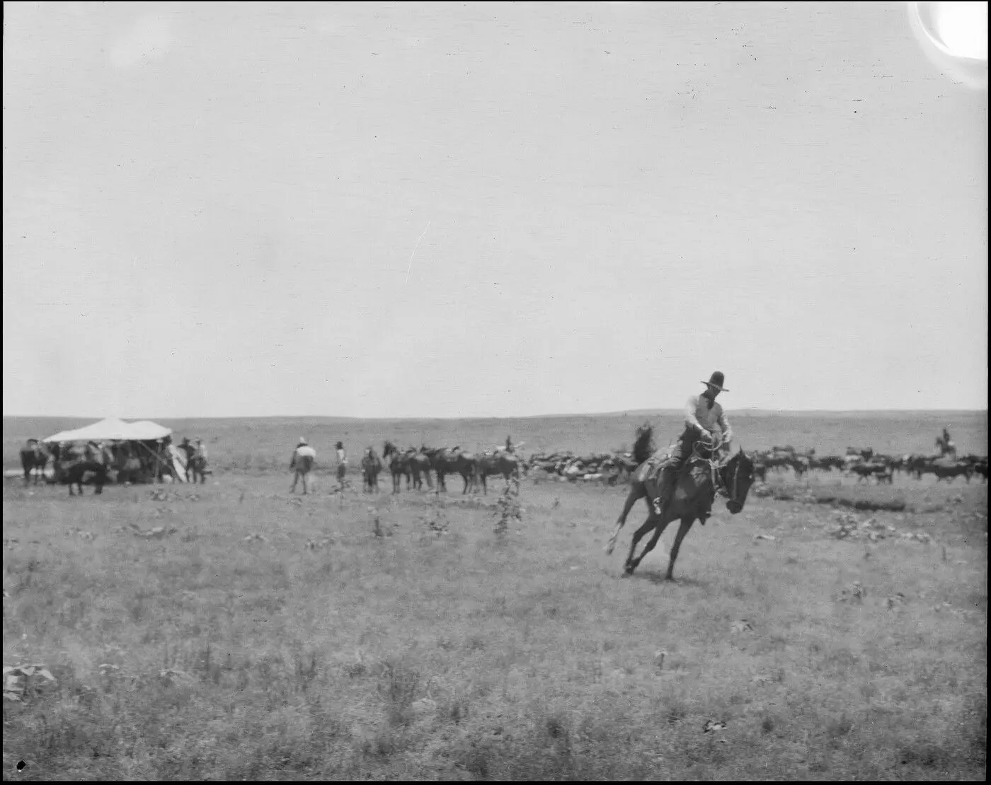 [Cowboys heading for tent, one cowboy riding off] by Erwin E. Smith