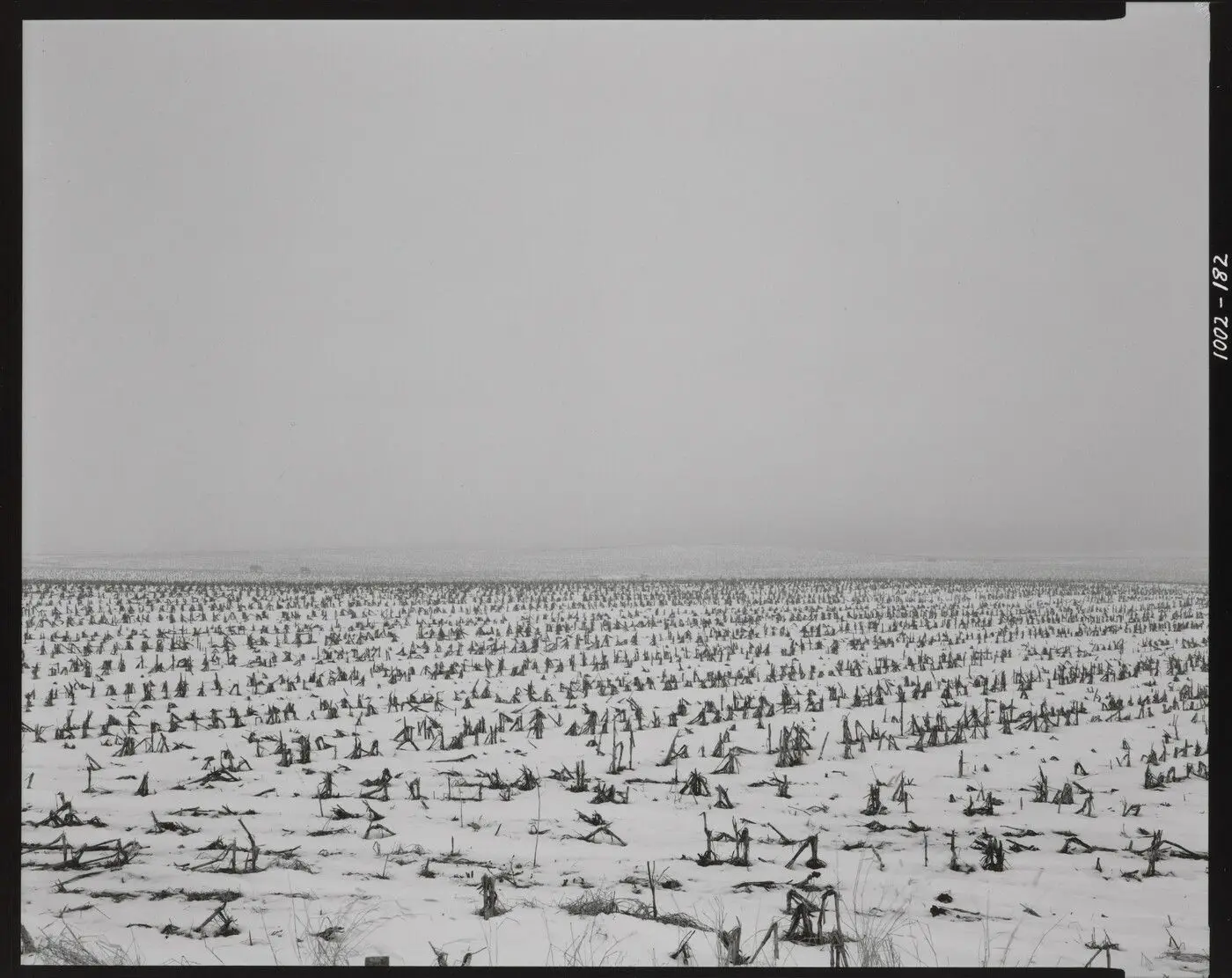 Illinois Landscape #1002 by Rhondal McKinney