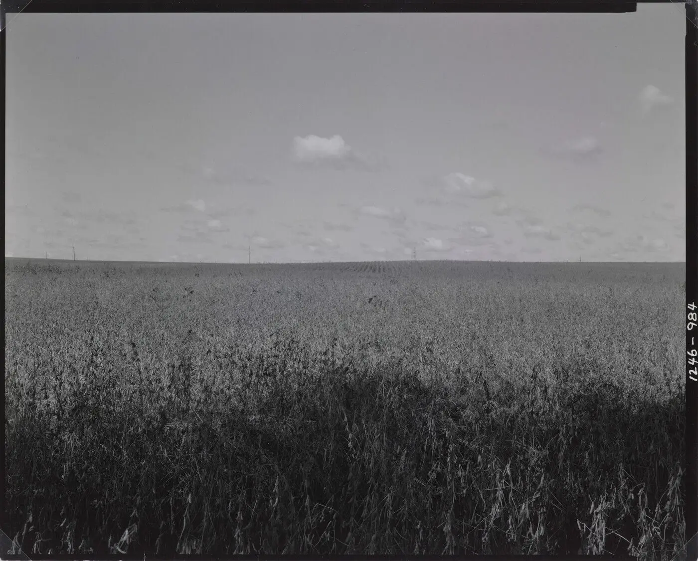 Illinois Landscape #1246 by Rhondal McKinney