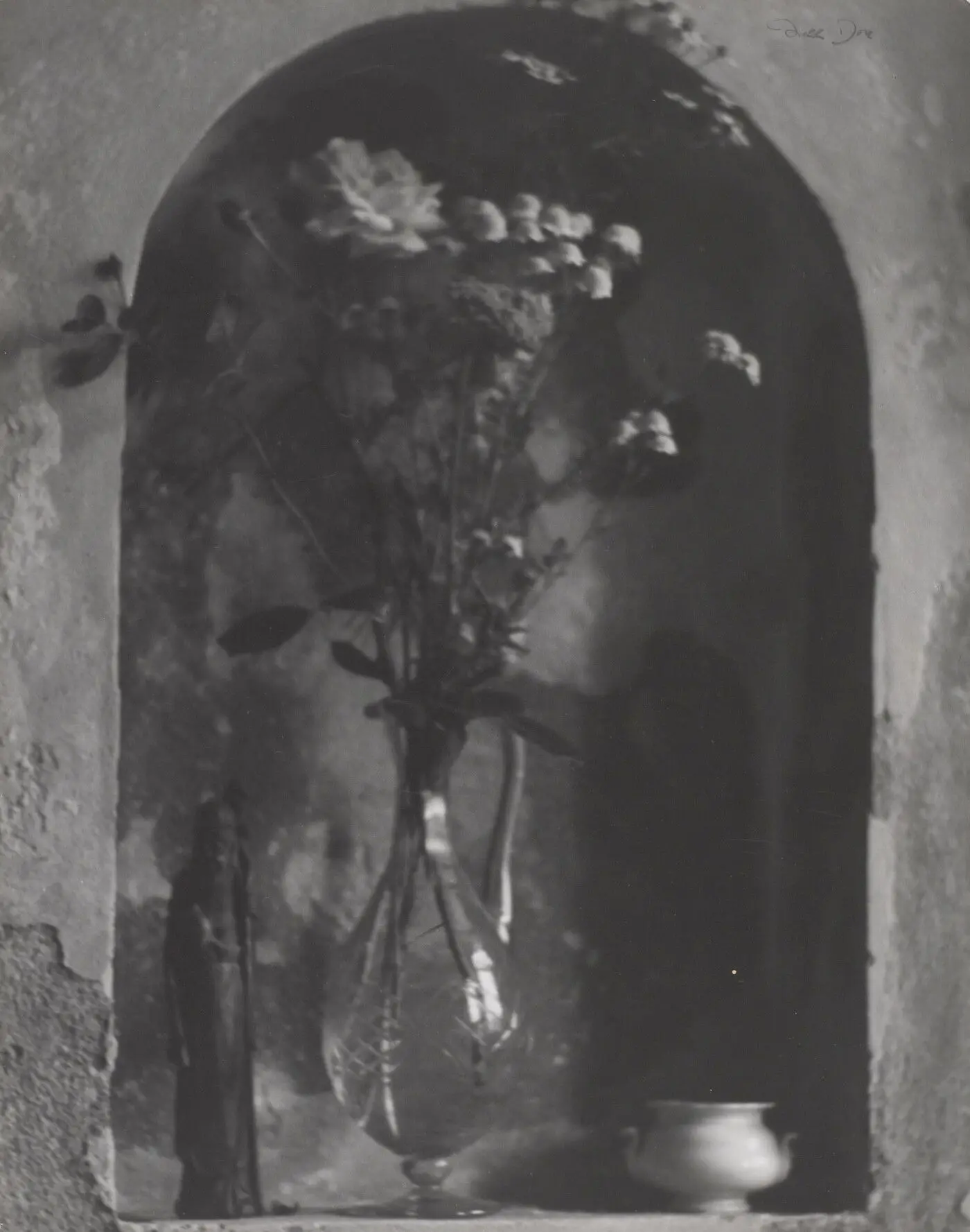 Still Life by Nell Dorr