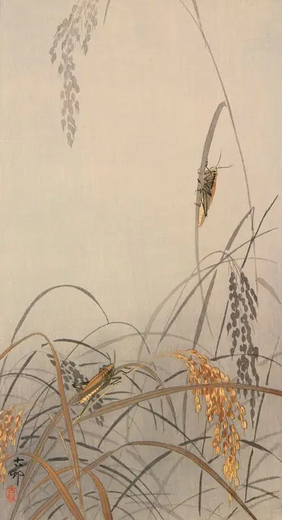 Grasshoppers on Rice Plants by Ohara Shoson (also called Hoson Koson)