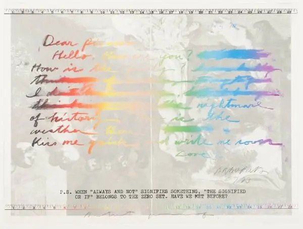 Bonjour Picasso by Arakawa Shūsaka