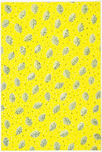 Textile Design by Peter Todd Mitchell