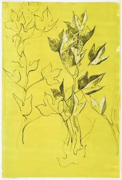 Textile Design by Peter Todd Mitchell