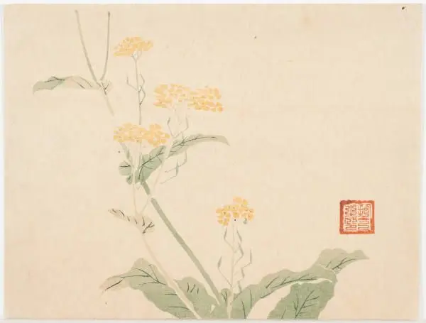 Yellow Flowers by Sakai Hōitsu 酒井抱一