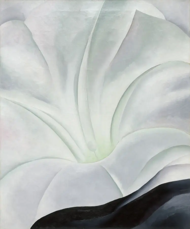 Morning Glory with Black by Georgia O'Keeffe