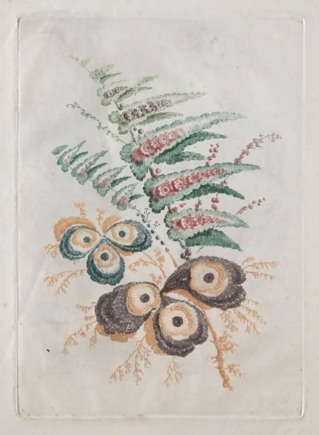 New Suite of Portfolios of Flowers Ideal to Use for Designing and Painting: Floral Fantasies by Anne Allen (British)