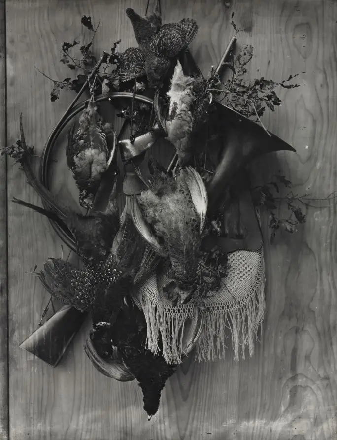 Trophy of the Hunt by Adolphe Braun