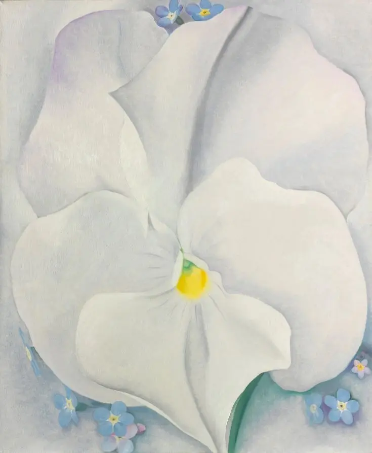 White Pansy by Georgia O'Keeffe