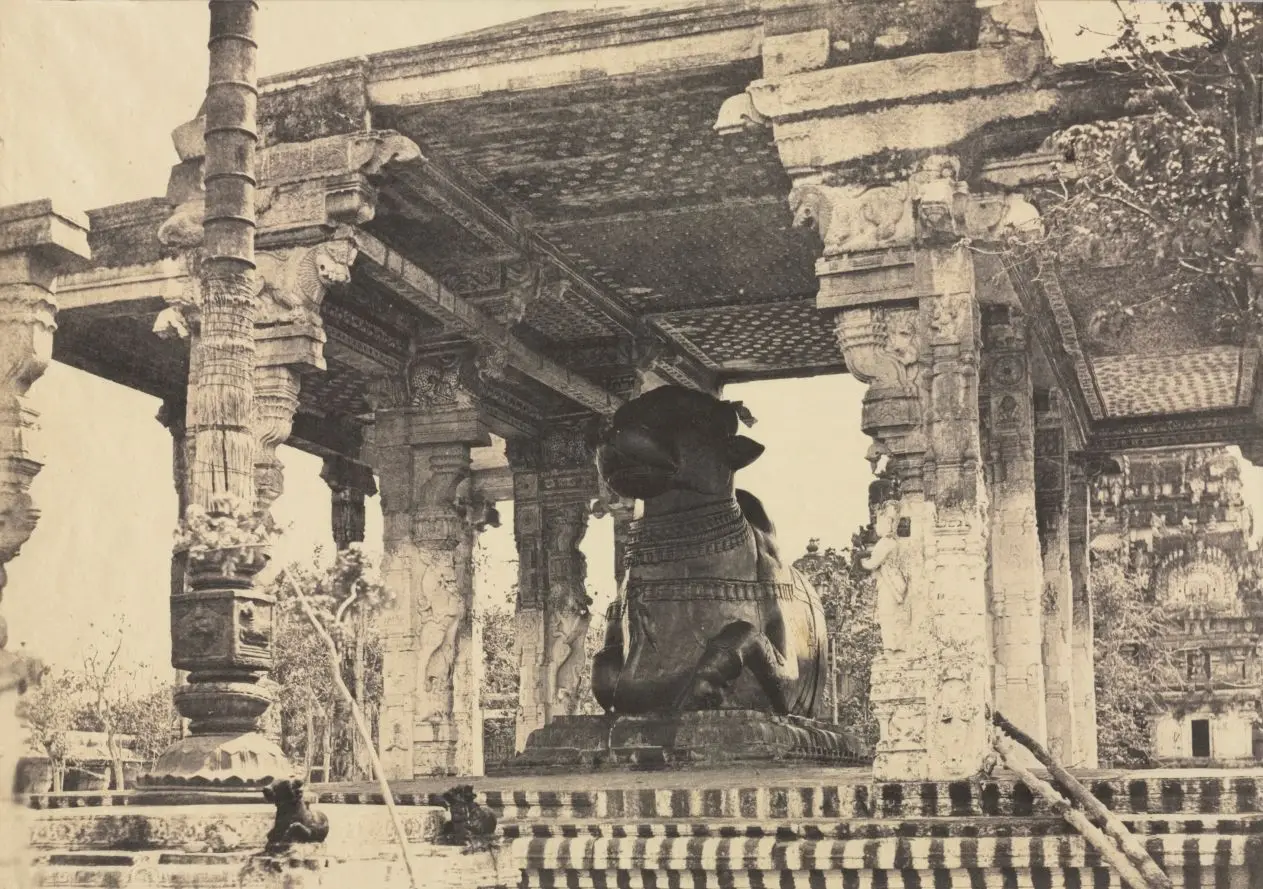Great Pagoda, Great Bull, Front View, Tanjore, India (Rajarajeshvara Temple), plate 12 from Photographic Views of Tanjore and Trivady (Madras: Madras Presidency) by Captain Linnaeus Tripe