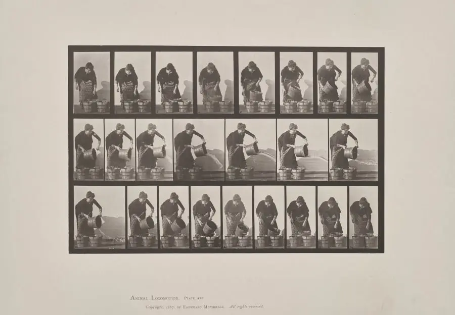 Emptying a Bucket of Water by Eadweard J. Muybridge