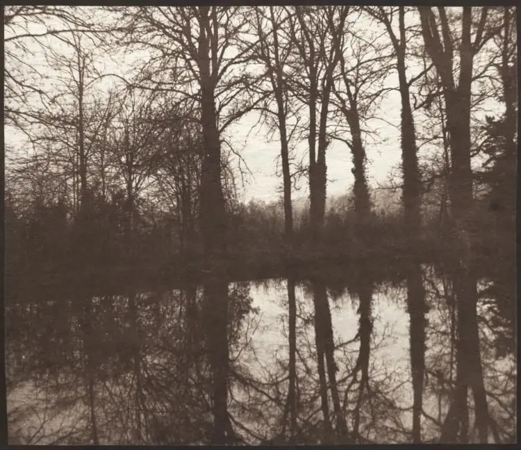 Winter Trees Reflected in a Pond by William Henry Fox Talbot