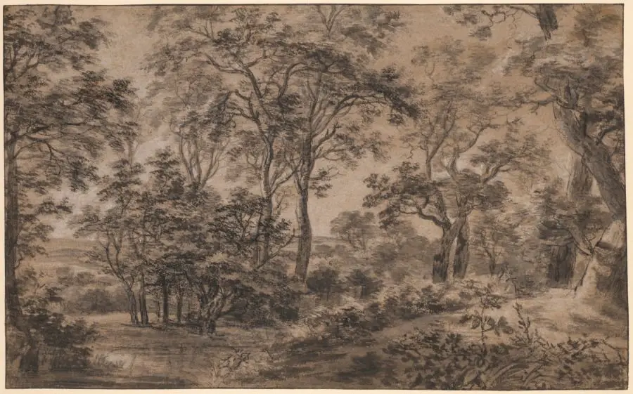 Wooded Landscape by Anthonie Waterloo