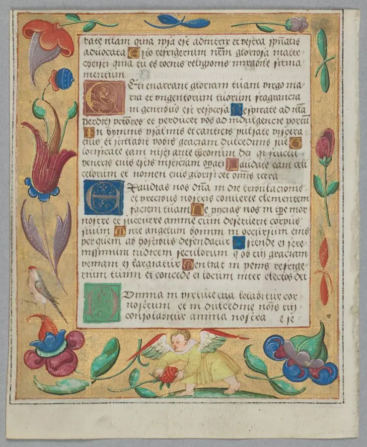 Leaf from a Psalter and Prayerbook: Putto Picking Strawberries (verso) by Unknown artist