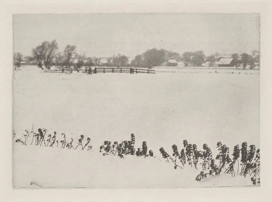 Marsh Weeds by Peter Henry Emerson