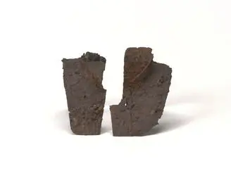 Neck Armor by Unknown artist