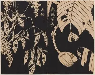"Genpo yoka" (Collection of Flowering Plants) by Ito Jakuchu