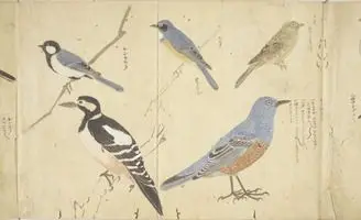 Paintings of Birds by Unknown artist