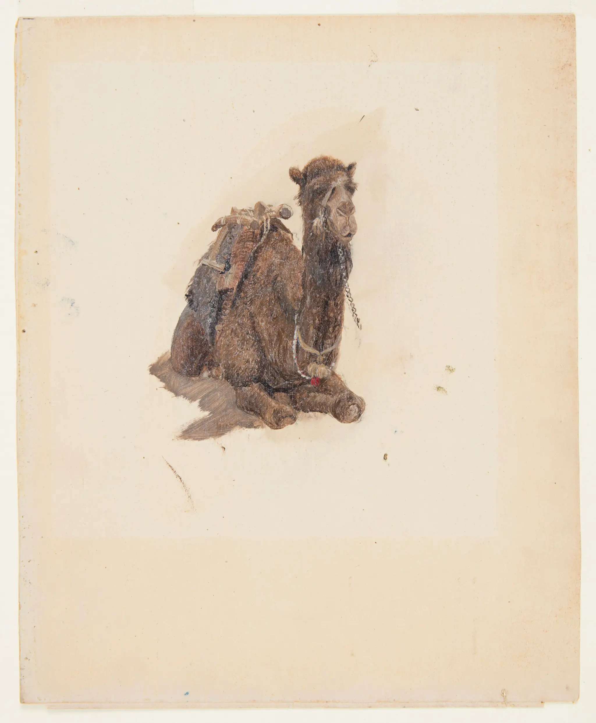 Drawing, Crouching Camel, Syria or Palestine (Israel) by Frederic Edwin Church