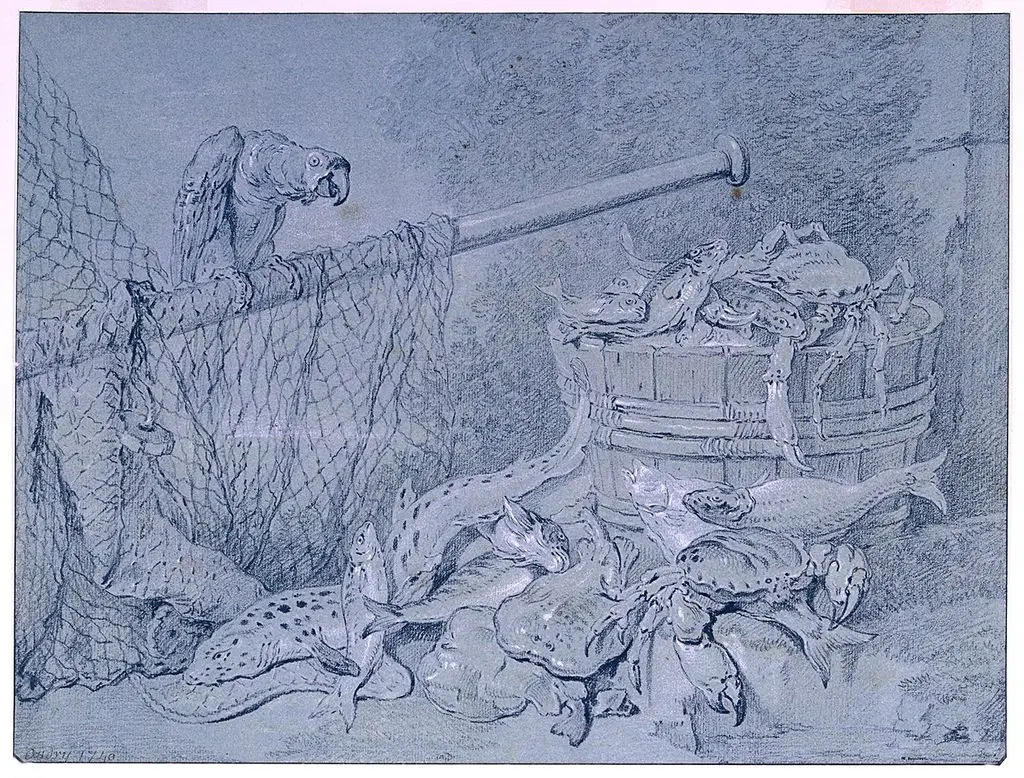 Drawing, Still-life of Fish, with Parrot by Jean-Baptiste Oudry