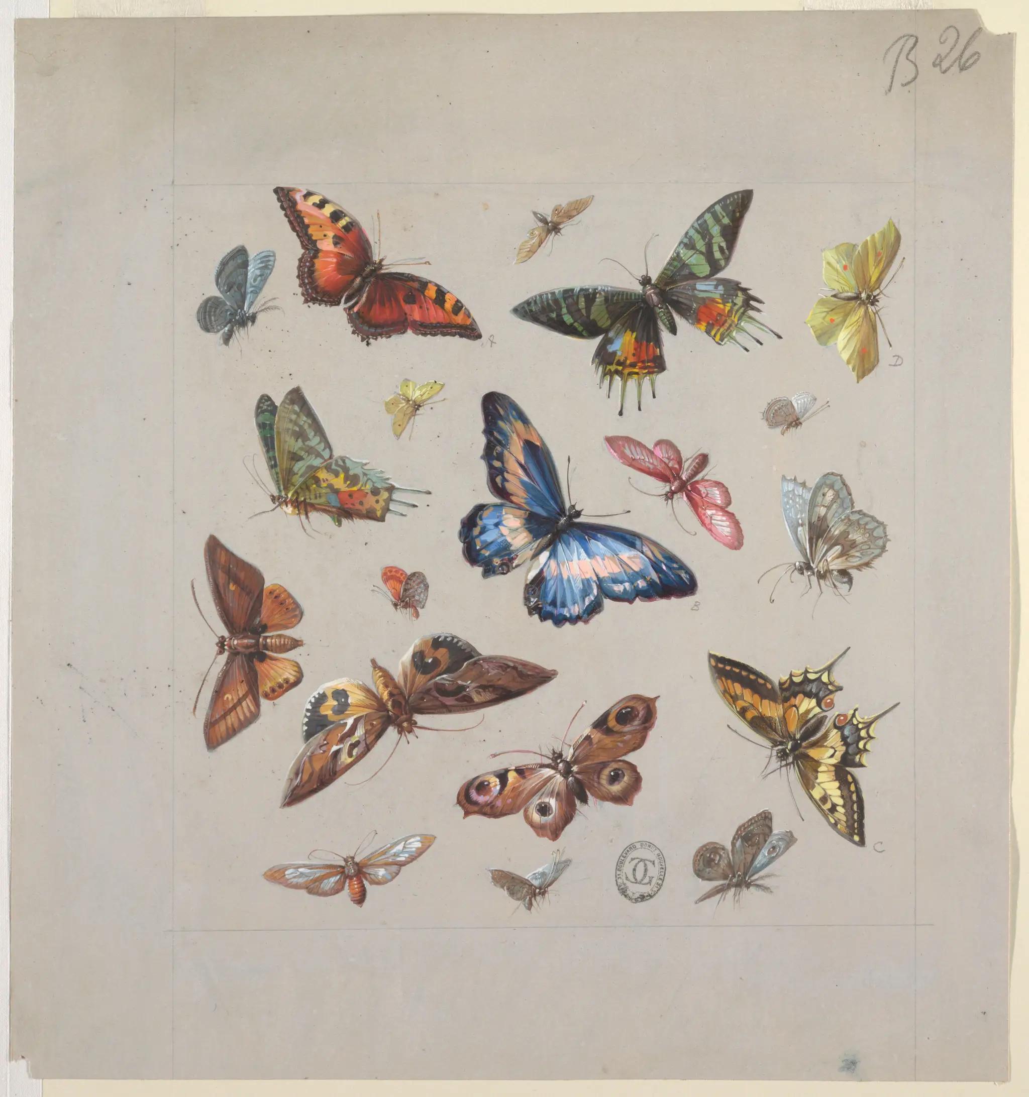 Drawing, Design for Textile or Wallpaper: Butterflies by Harvey Smith