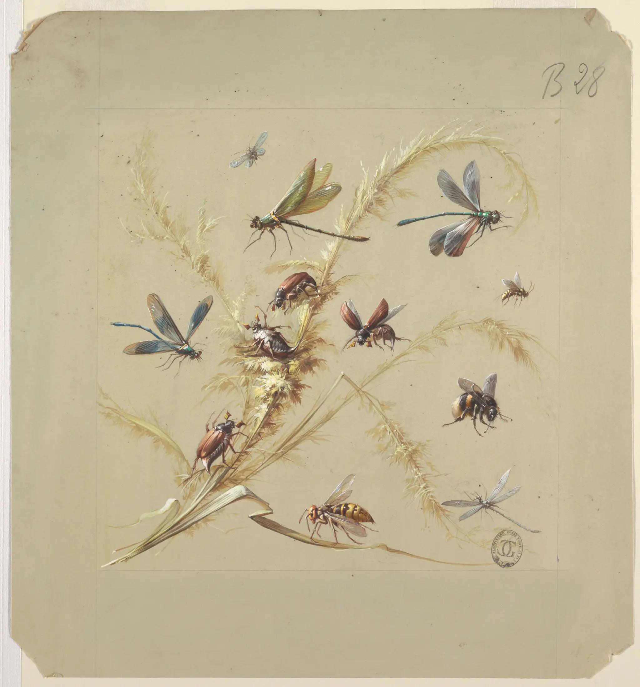 Drawing, Textile or Wallpaper Design: Insects by Harvey Smith