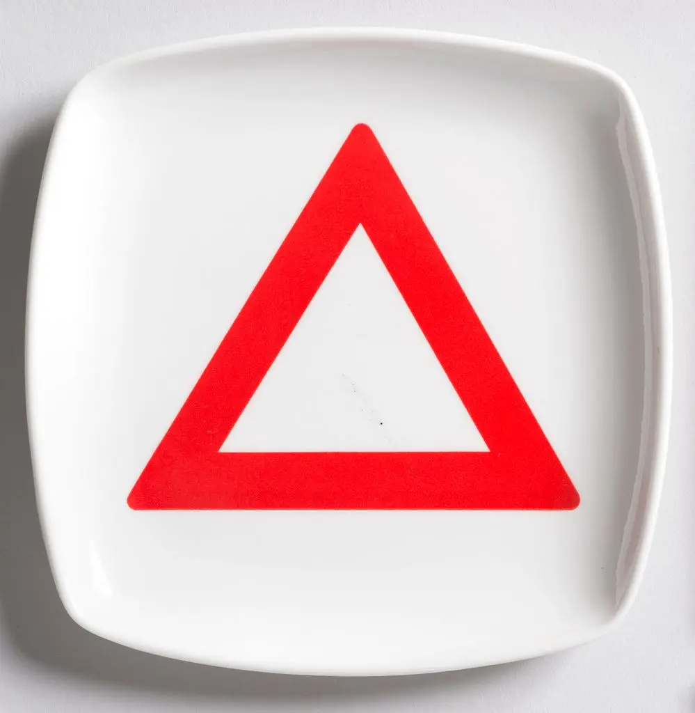 Plate by Henry Dreyfuss