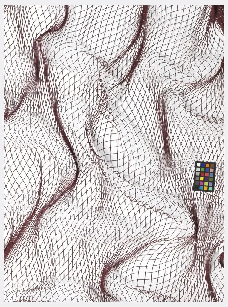 Fishing Net, Encircling Fishing Net by Toray Industries, Inc