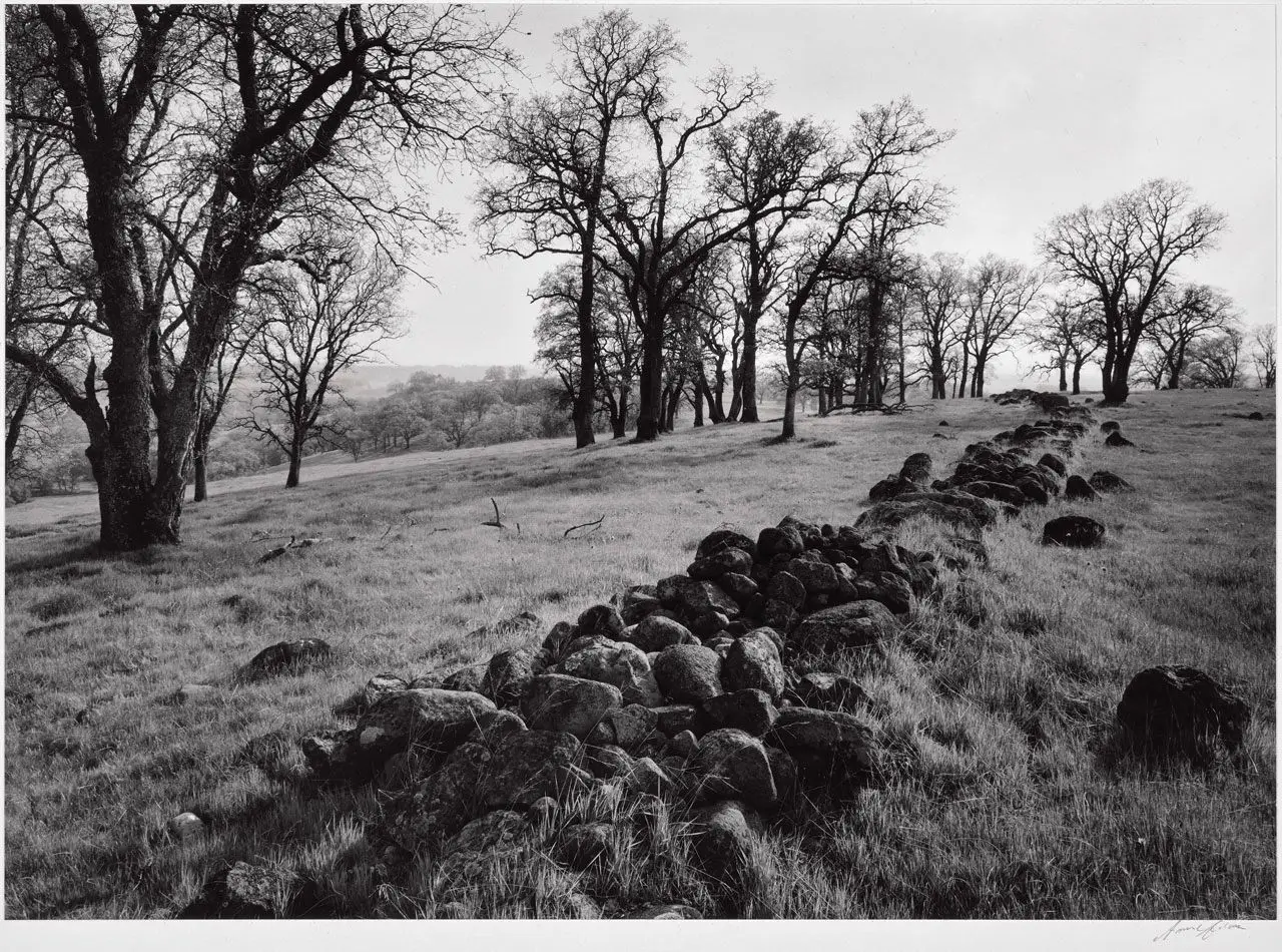 Rock Wall, Trees by Ansel Adams