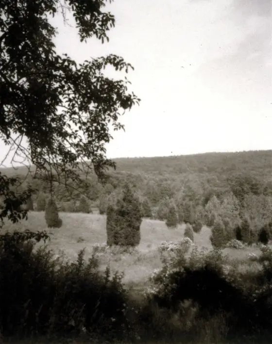 Photograph by Jan Groover by Jan Groover