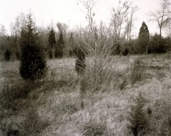 Photograph by Jan Groover by Jan Groover