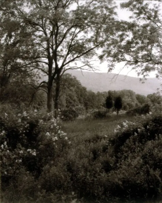 Photograph by Jan Groover by Jan Groover