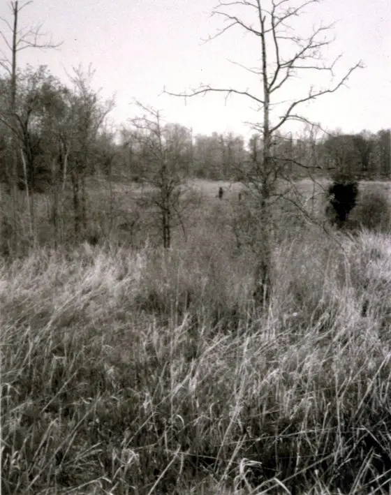 Photograph by Jan Groover by Jan Groover