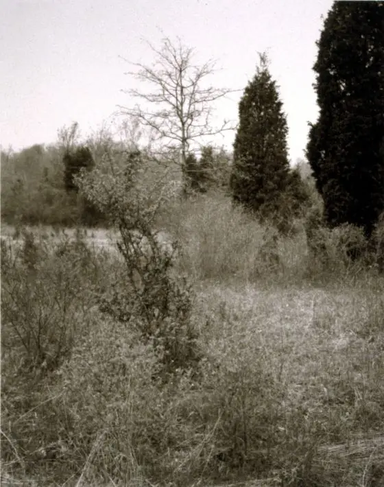 Photograph by Jan Groover by Jan Groover