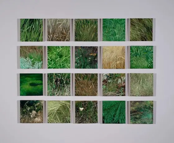 American Grasslands by Karen E. Kitchel