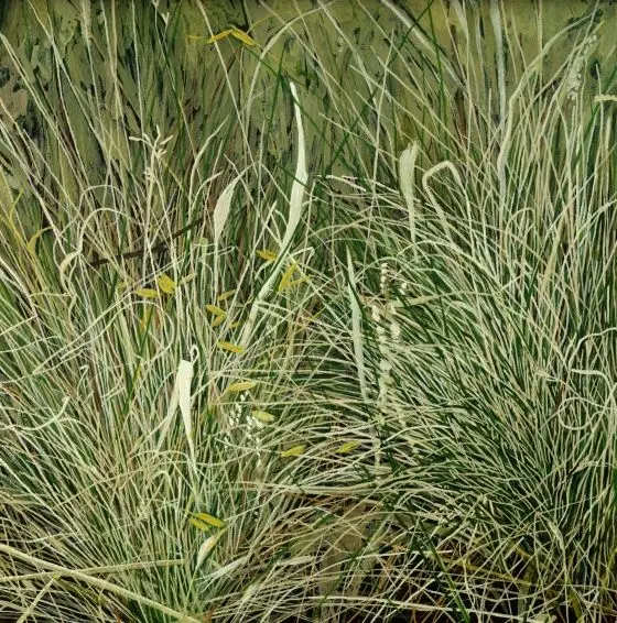 American Grasslands: Prairie #5 by Karen E. Kitchel