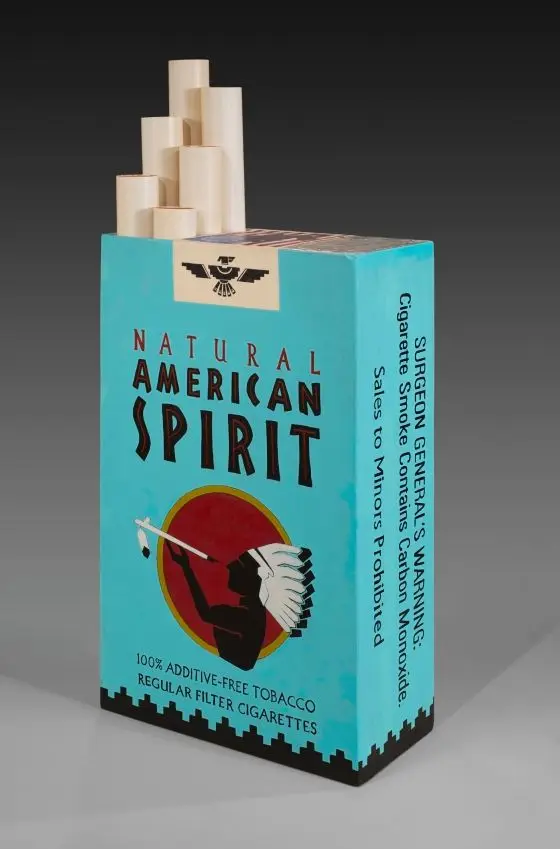 American Spirit by David P. Bradley, Chippewa, Lakota