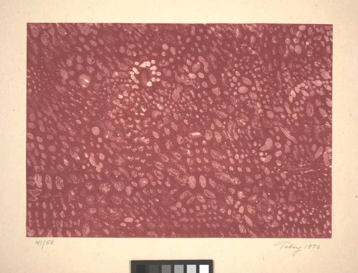 Untitled by Mark Tobey by Mark Tobey